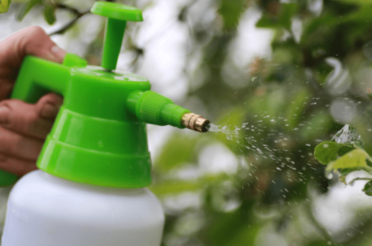 C&J Lawn Care